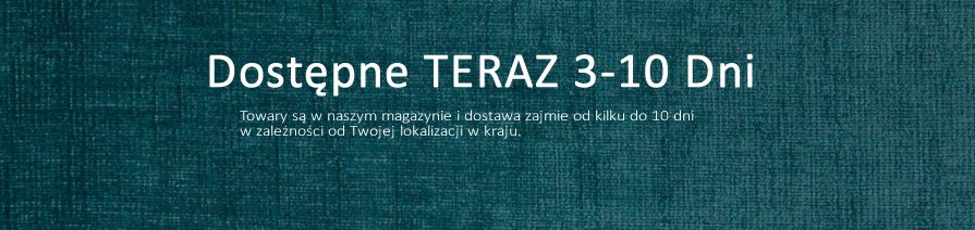 Szybka Dostawa Szybka Dostawa